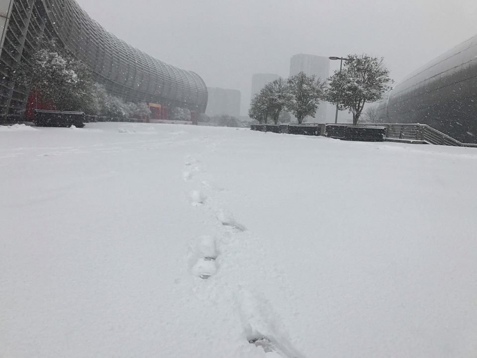 Tuyết rơi dày, ngập mặt trước sân Thường Châu