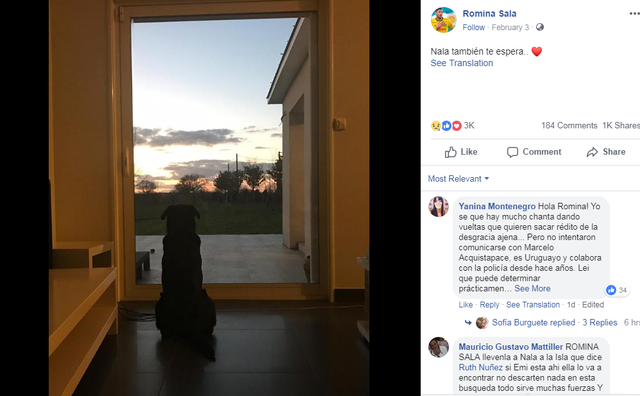 Chú cún cưng của Emiliano Sala vẫn đang chờ đợi cậu chủ trở về