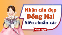 Dự đoán XSDN 13/11/2019 - Soi cầu dự đoán xổ số Đồng Nai ngày 13 tháng 11 năm 2019